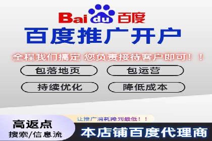 提升网站流量：SEO在百度推广的实战案例